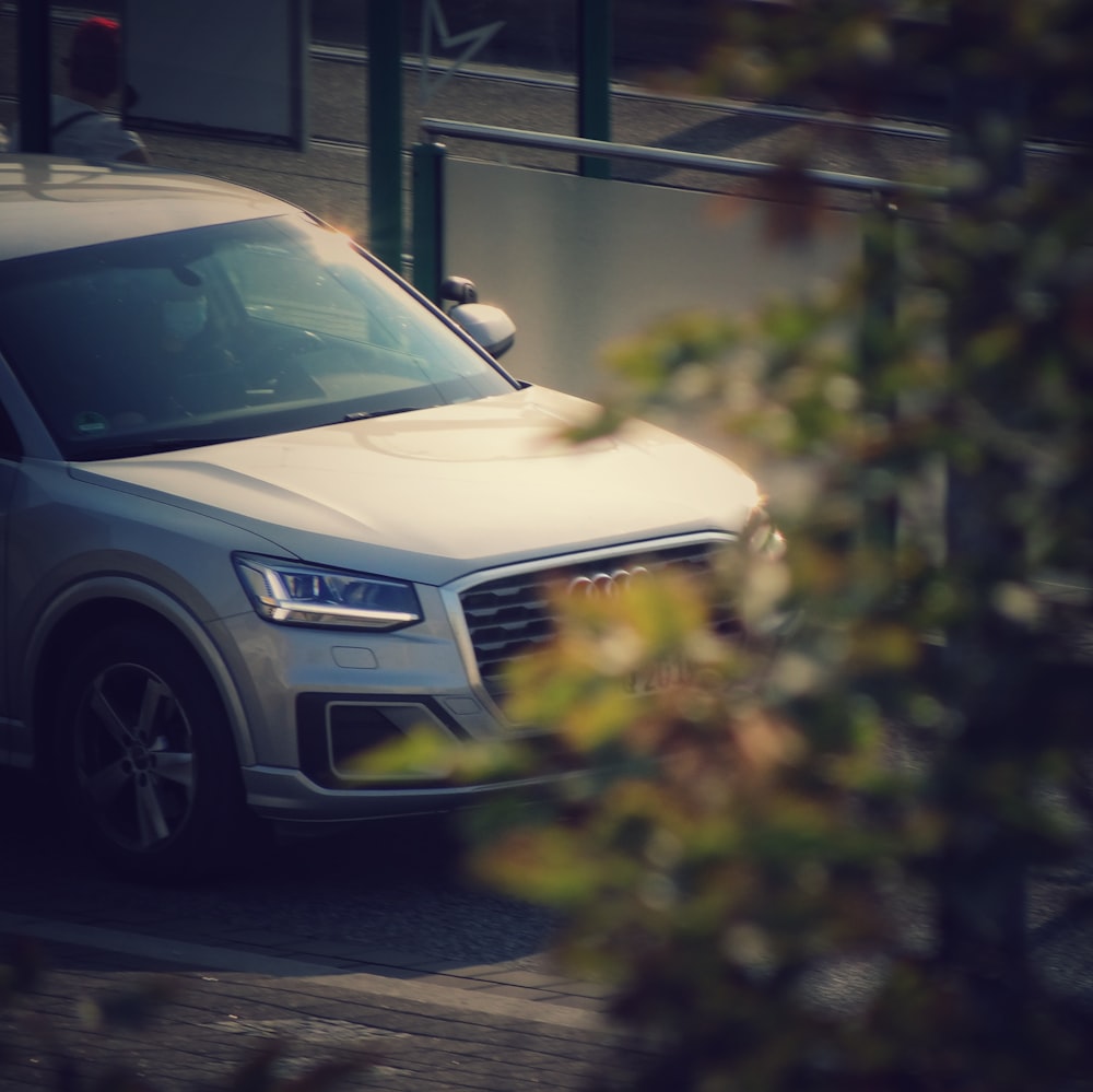 white car parked near green plants during daytime