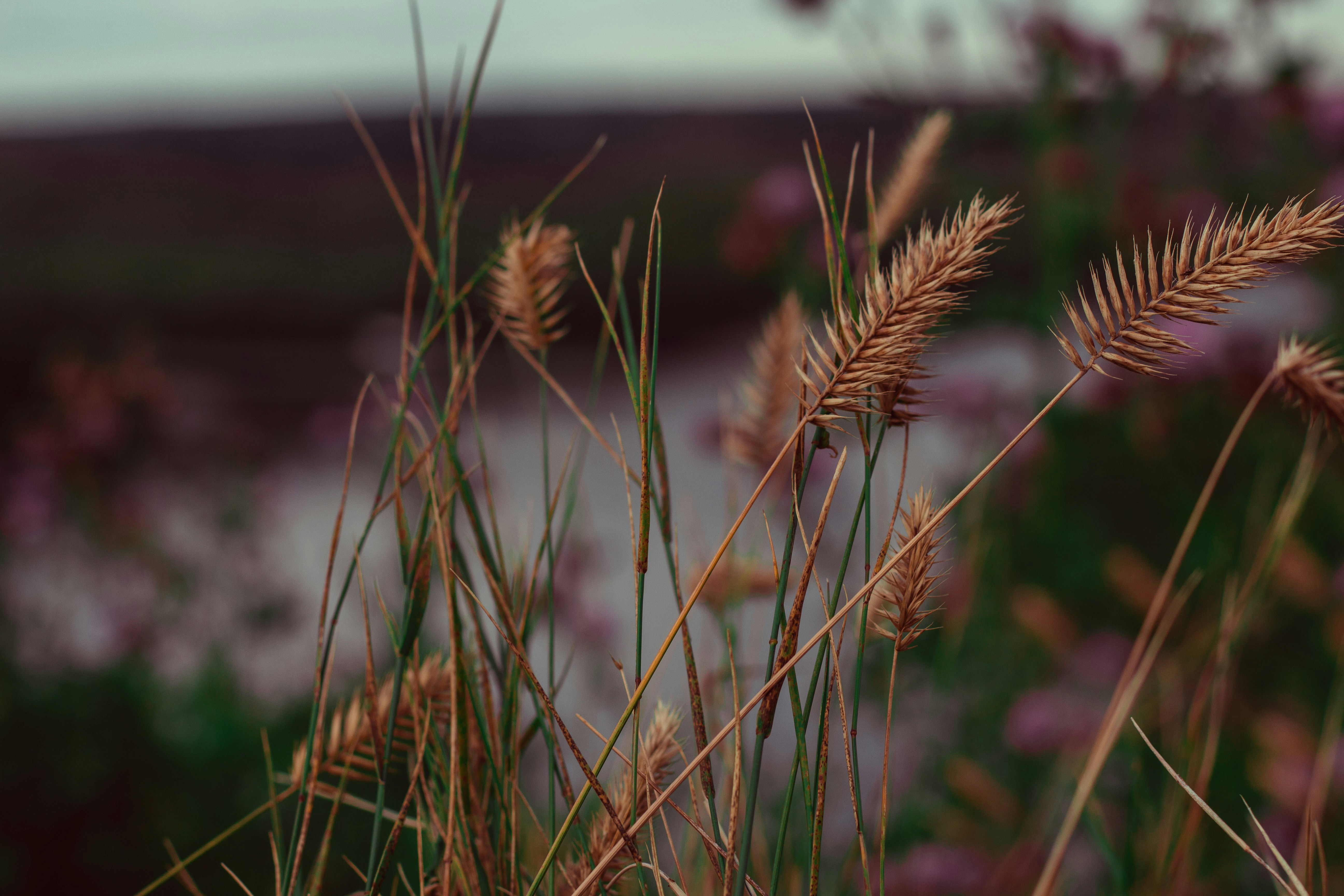 Photo by darbylee12