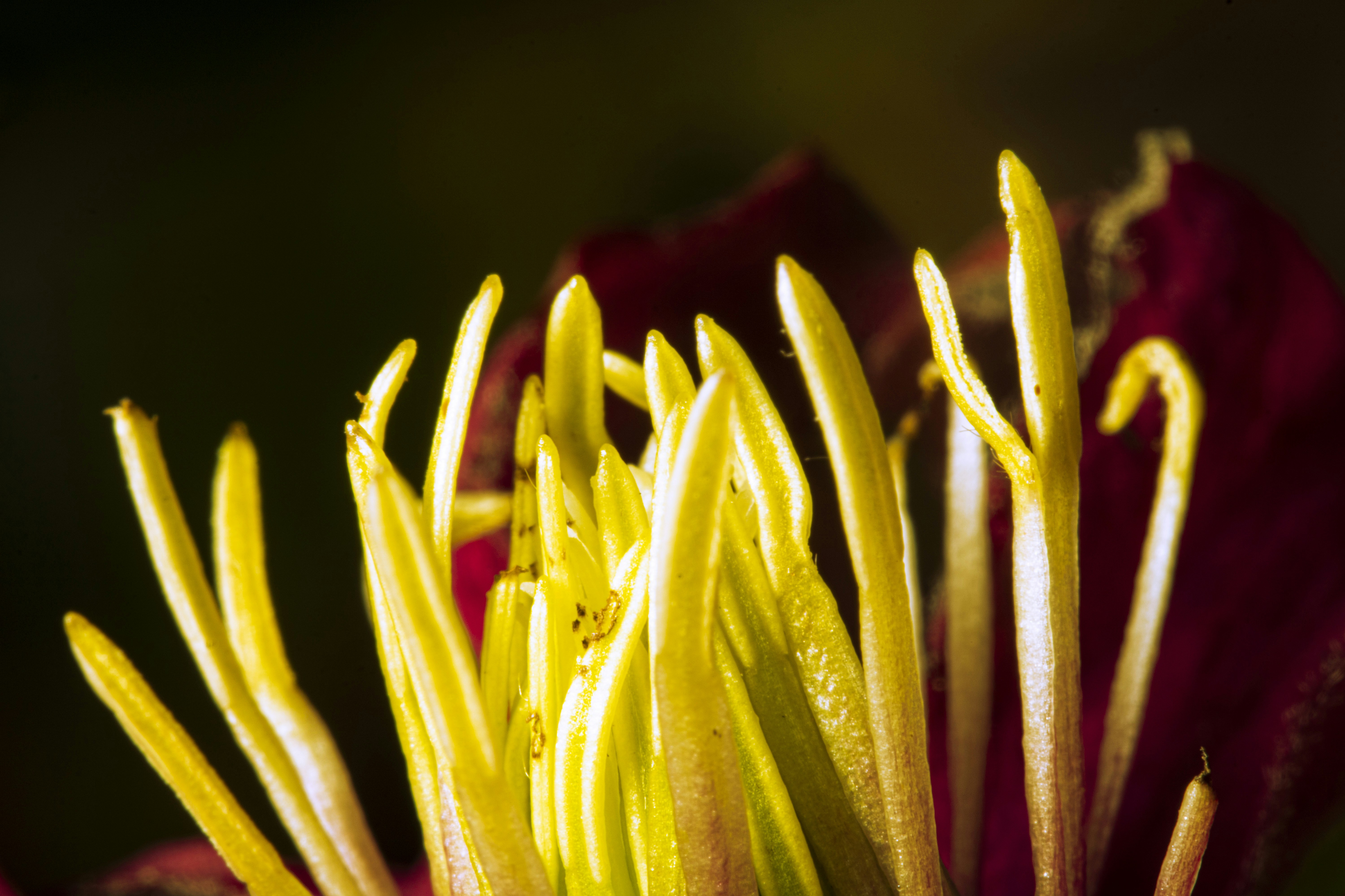 Photo by itscakefortea