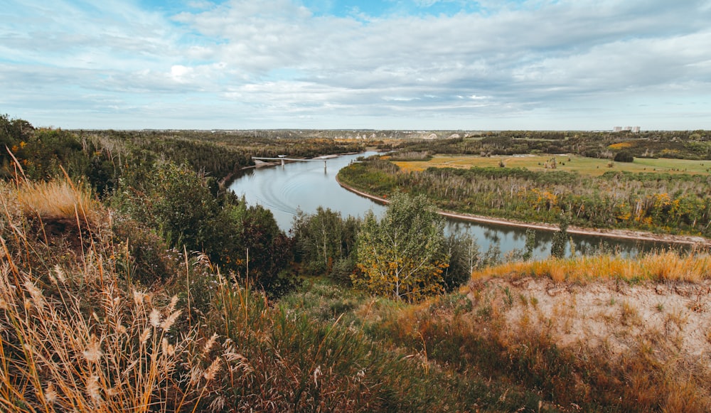 Grünes Grasfeld in der Nähe des Sees unter blauem Himmel tagsüber