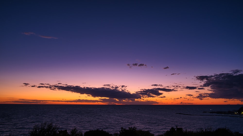 silhouette of trees near body of water during sunset