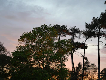 Cap Horizon Conciergerie Abritel Biscarrosse