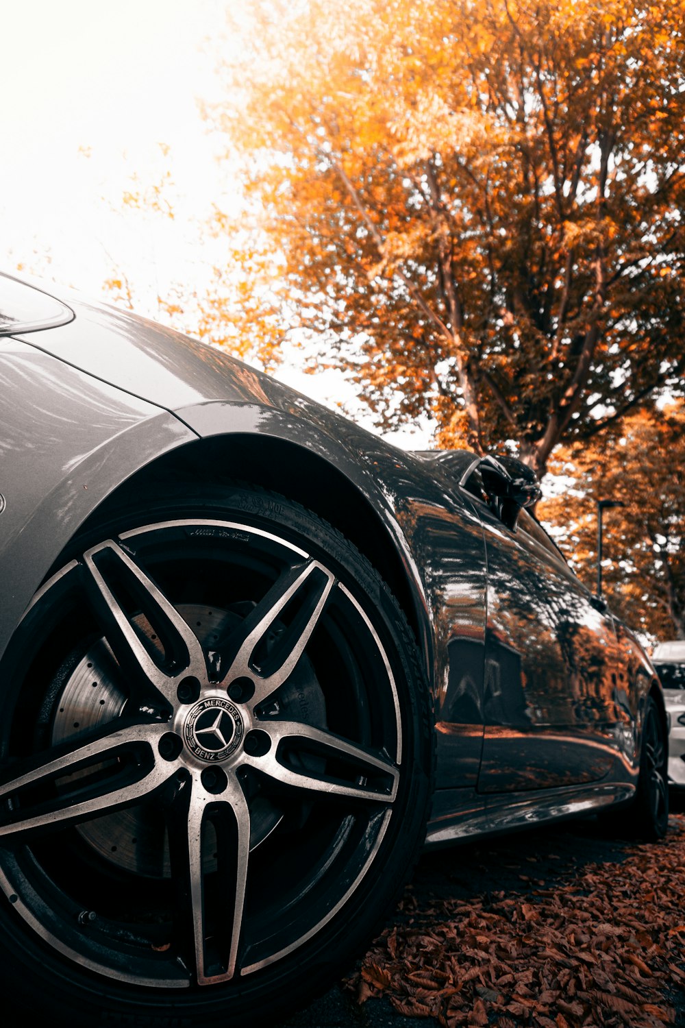 black car with black 5 spoke wheel