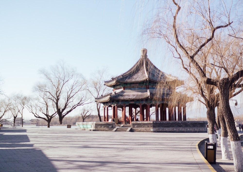 brown and green temple near bare trees during daytime