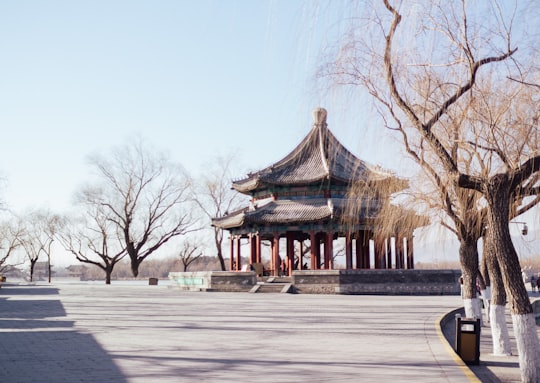 brown and green temple near bare trees during daytime in Beihai Park China