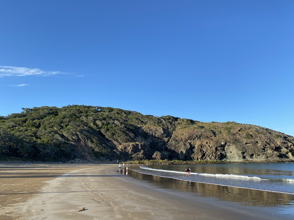 people walking on beach shore during daytime