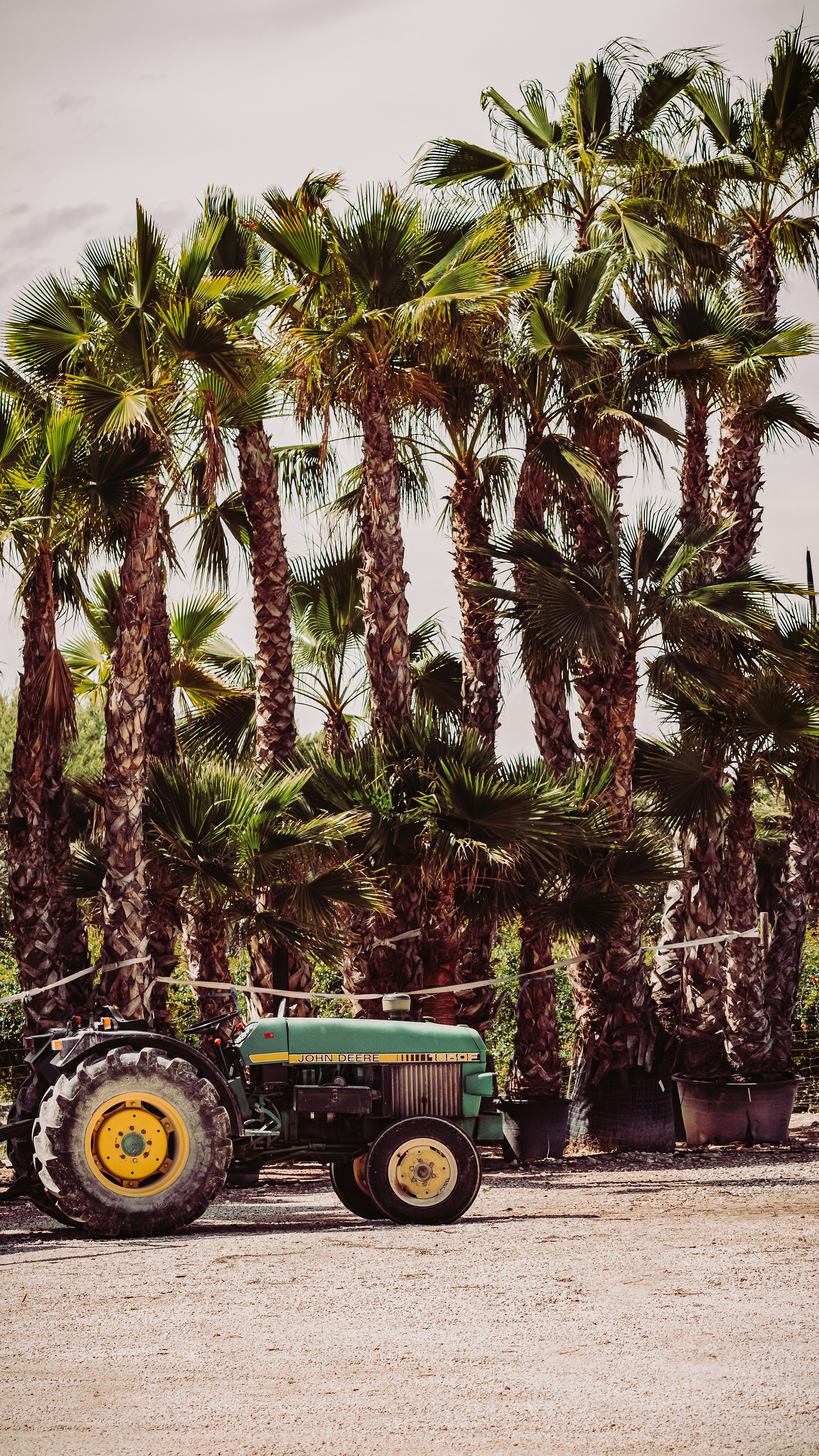 green tractor near green palm tree during daytime