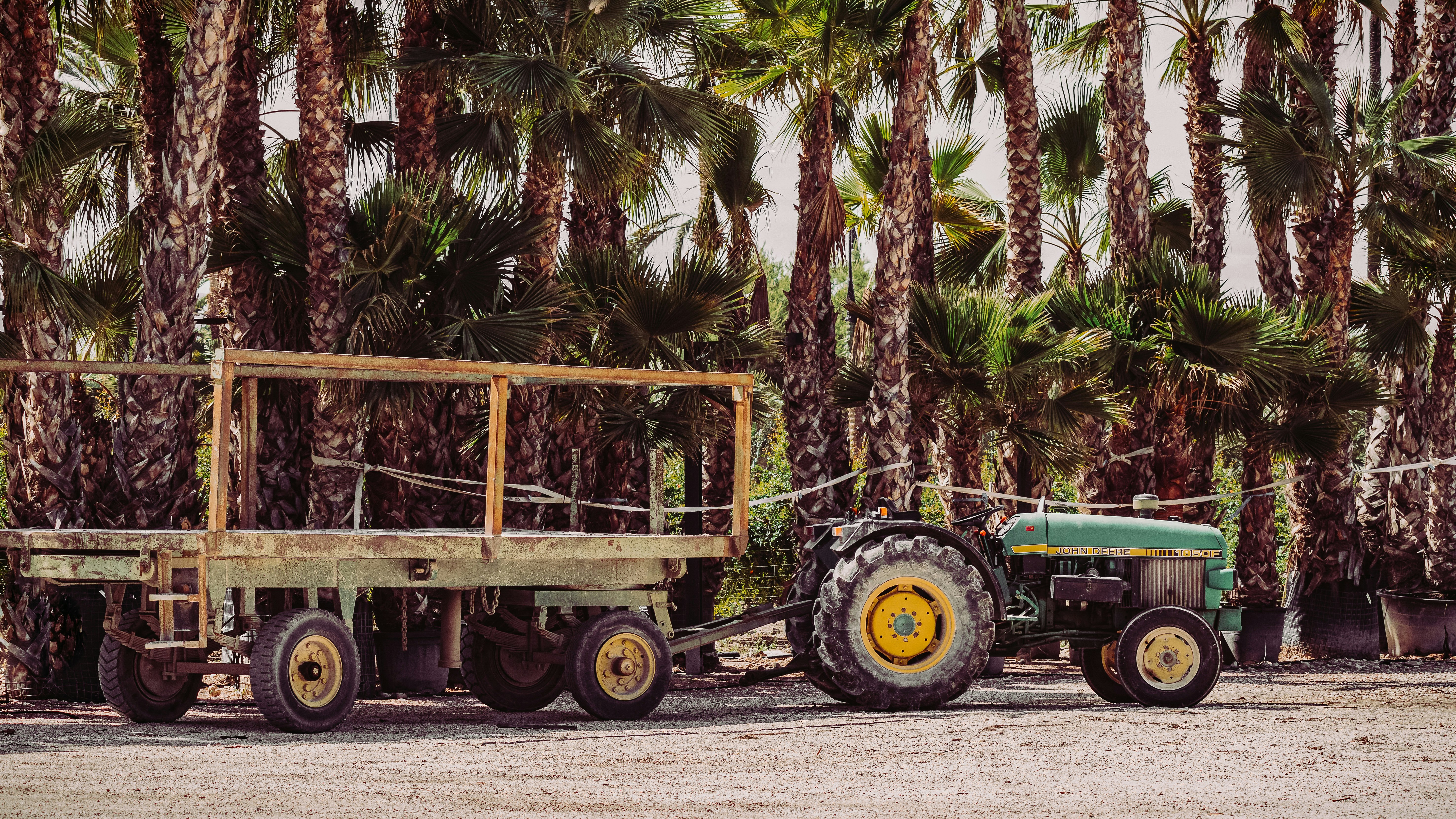 green and brown tractor near palm trees during daytime