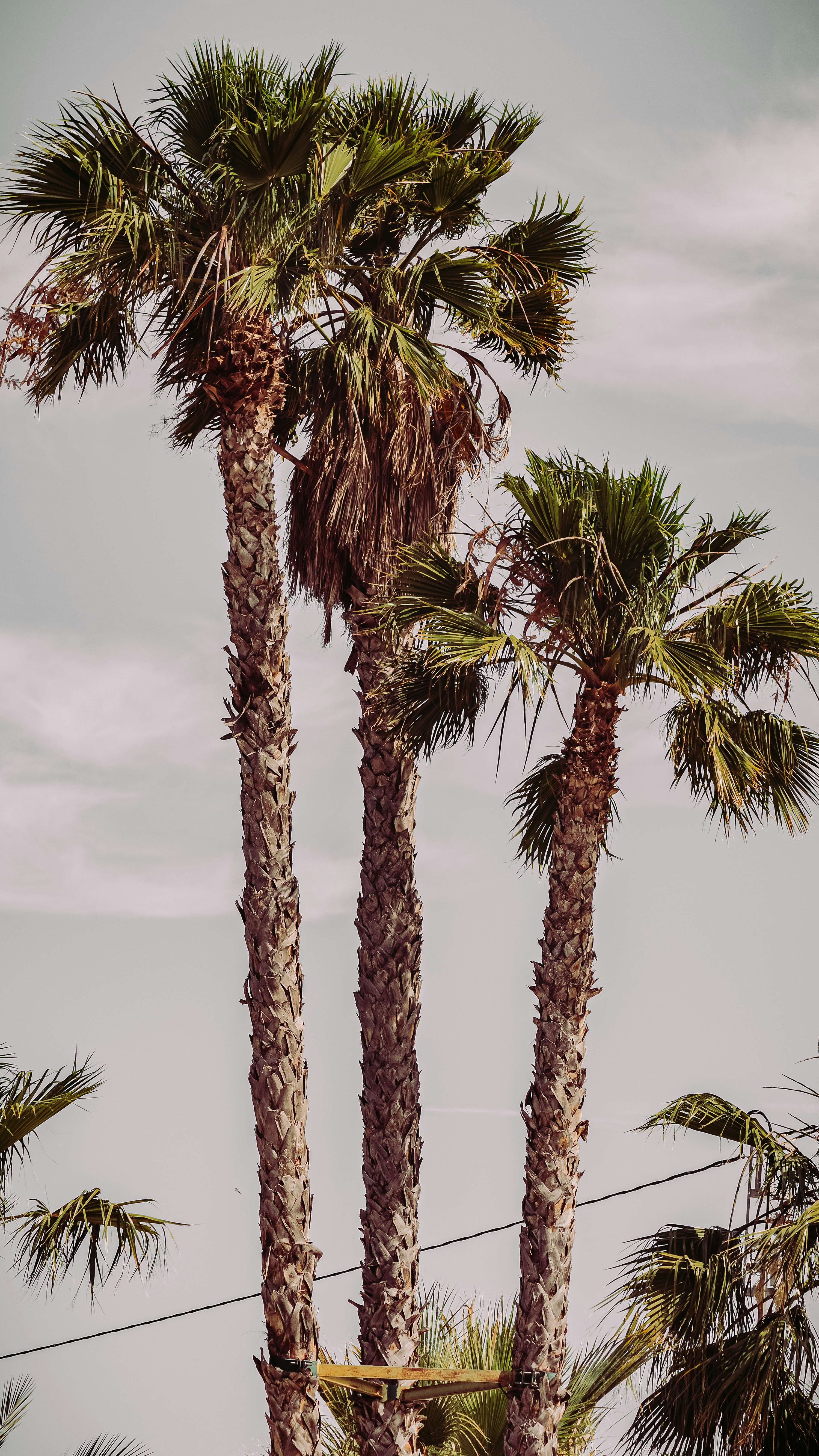 Photo by framesforyourheart