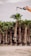 A row of large potted palm trees is lined up, with one palm tree being lifted by a crane. The trees are set on a gravel surface and the crane arm is visible on the right, gripping the tree from the top. The setting appears to be outdoors under a cloudy sky.