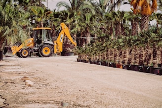 A yellow backhoe loader is parked on a dirt road surrounded by rows of potted palm trees. In the background, dense green palm foliage creates a tropical atmosphere. The vehicle stands out against the earthy tones of the surroundings.