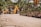A yellow backhoe loader is parked on a dirt road surrounded by rows of potted palm trees. In the background, dense green palm foliage creates a tropical atmosphere. The vehicle stands out against the earthy tones of the surroundings.