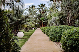 A peaceful garden pathway lined with tropical plants leading to the elegant hotel entrance at golden hour.