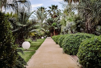 A sunlit garden path lined with colorful planters and decorative lanterns.