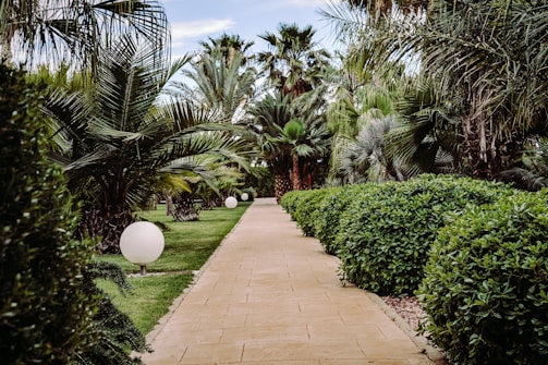 A beautifully maintained garden path lined with lush greenery and subtle golden lighting.