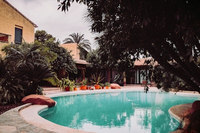 people swimming in pool during daytime