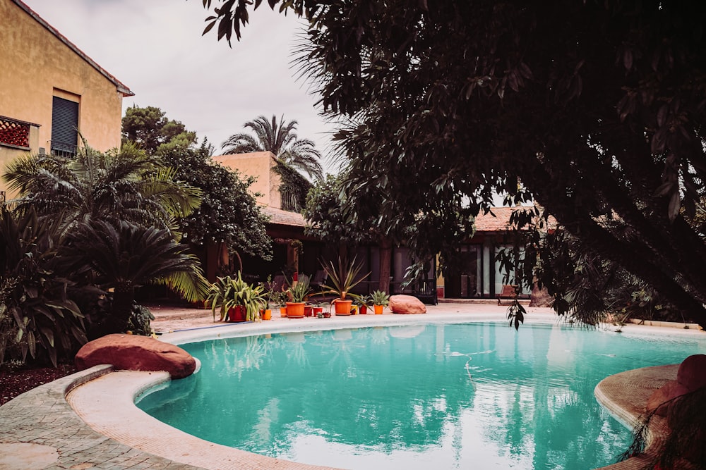 people swimming in pool during daytime