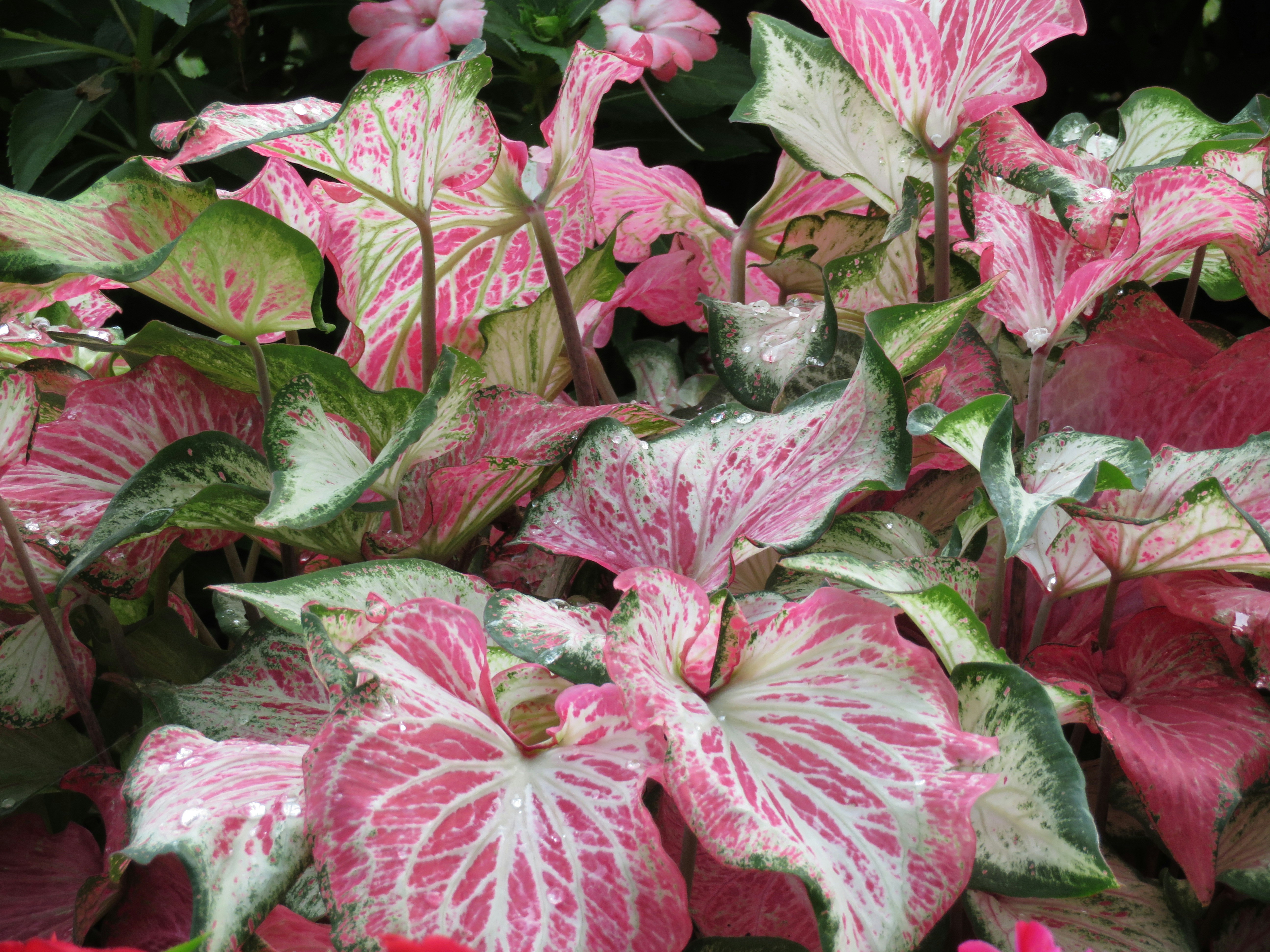 Photo by marcie_kennedy