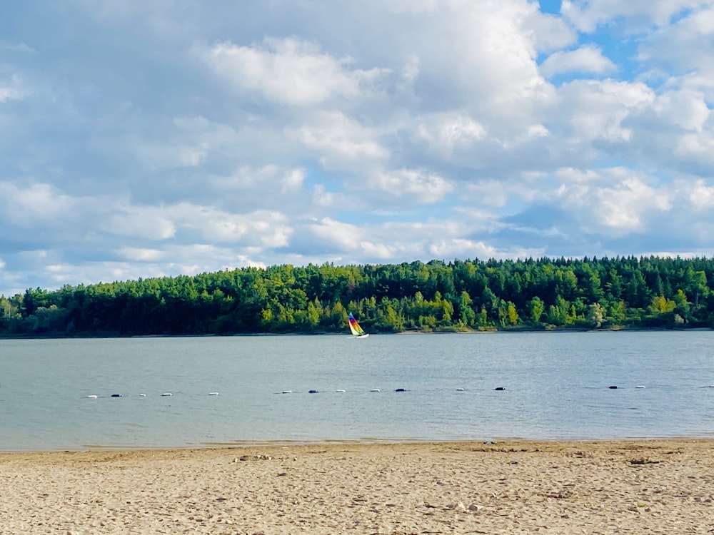 green trees beside body of water under white clouds and blue sky during daytime