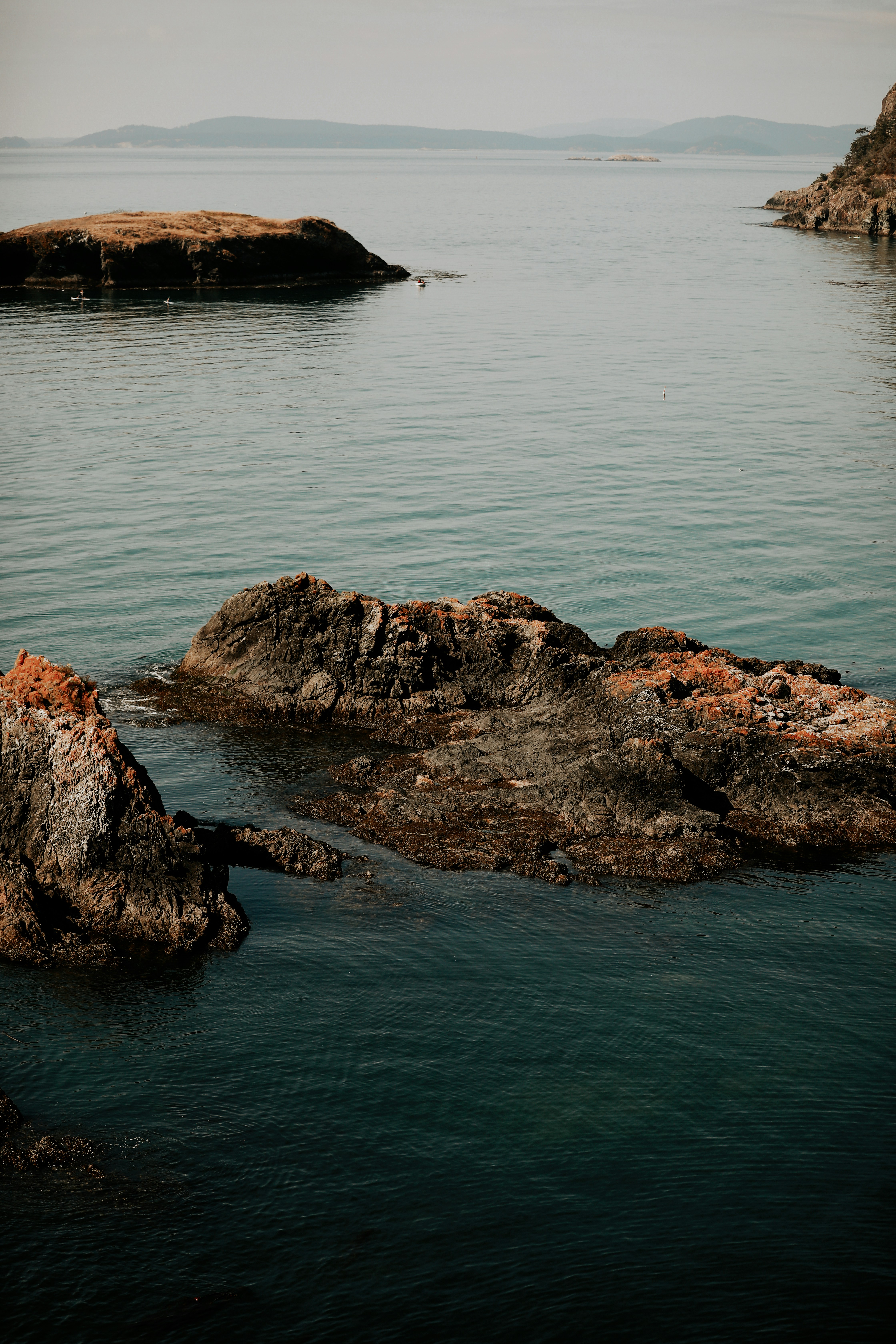 Photo by linaverovaya