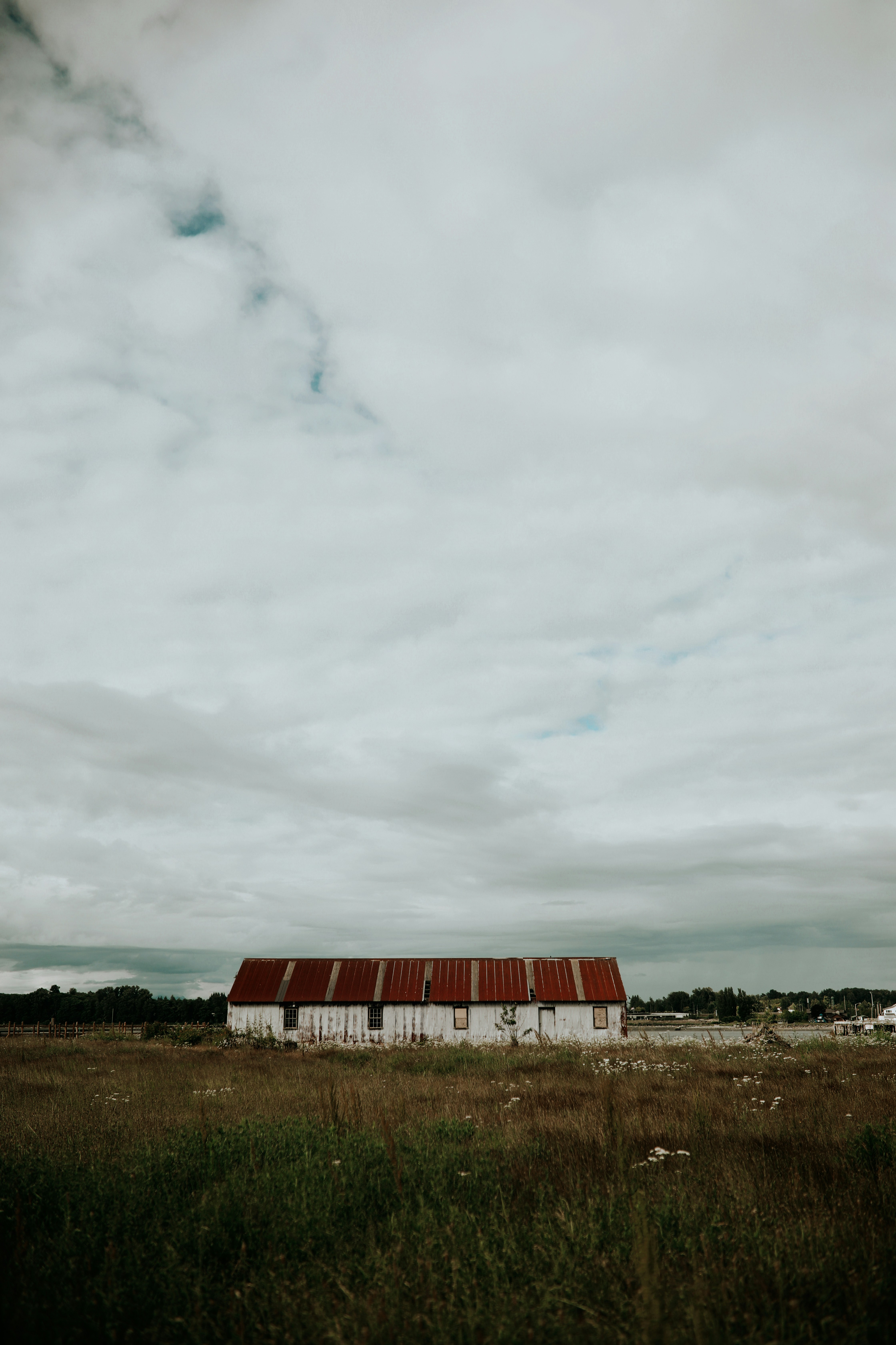 Photo by linaverovaya