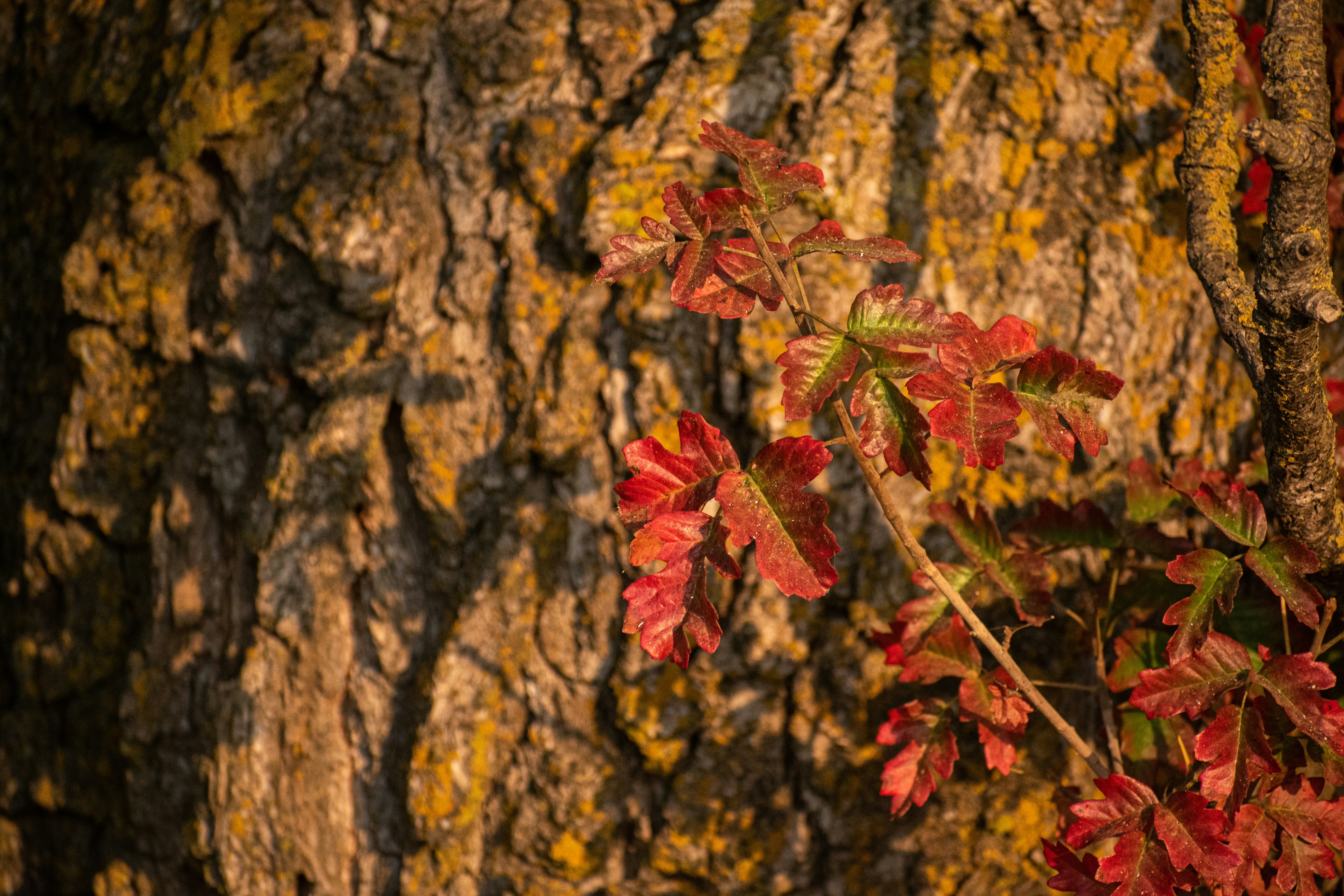 Photo by elisastonephotography