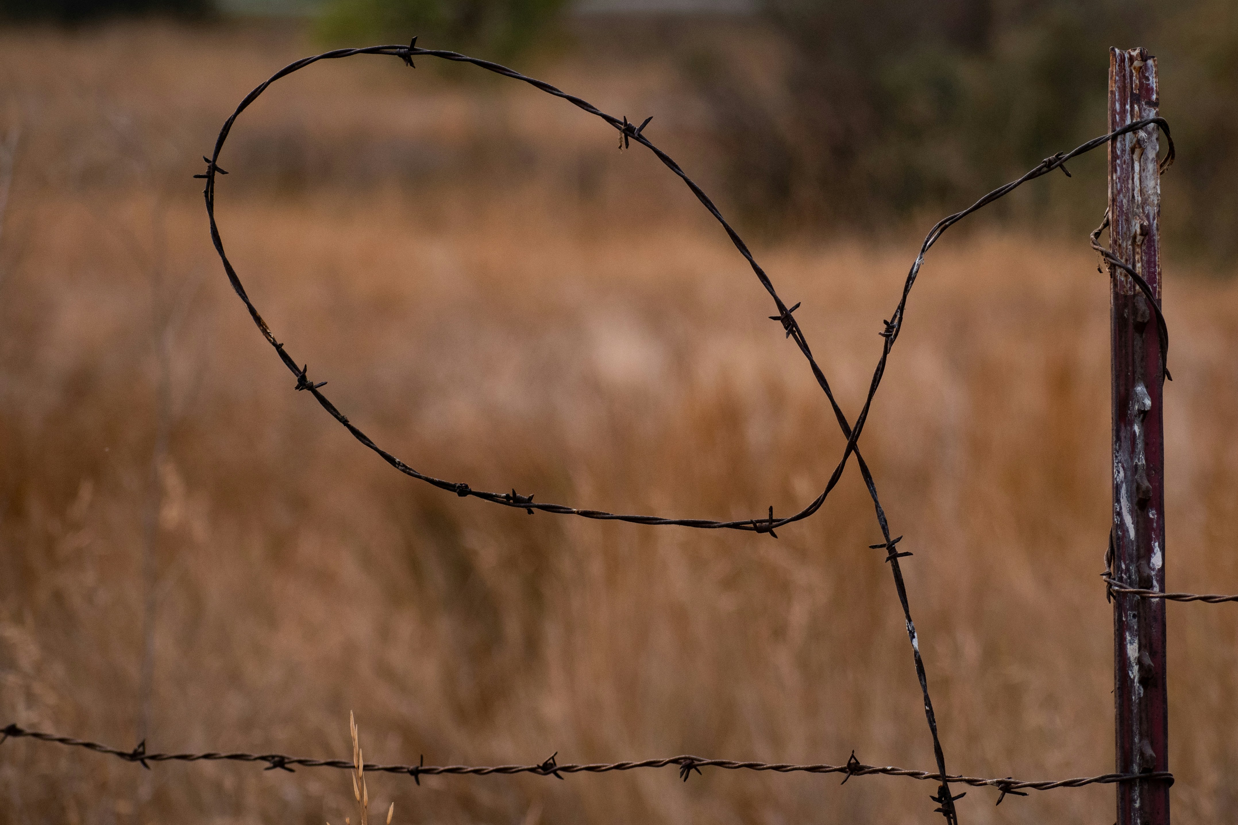 Photo by elisastonephotography