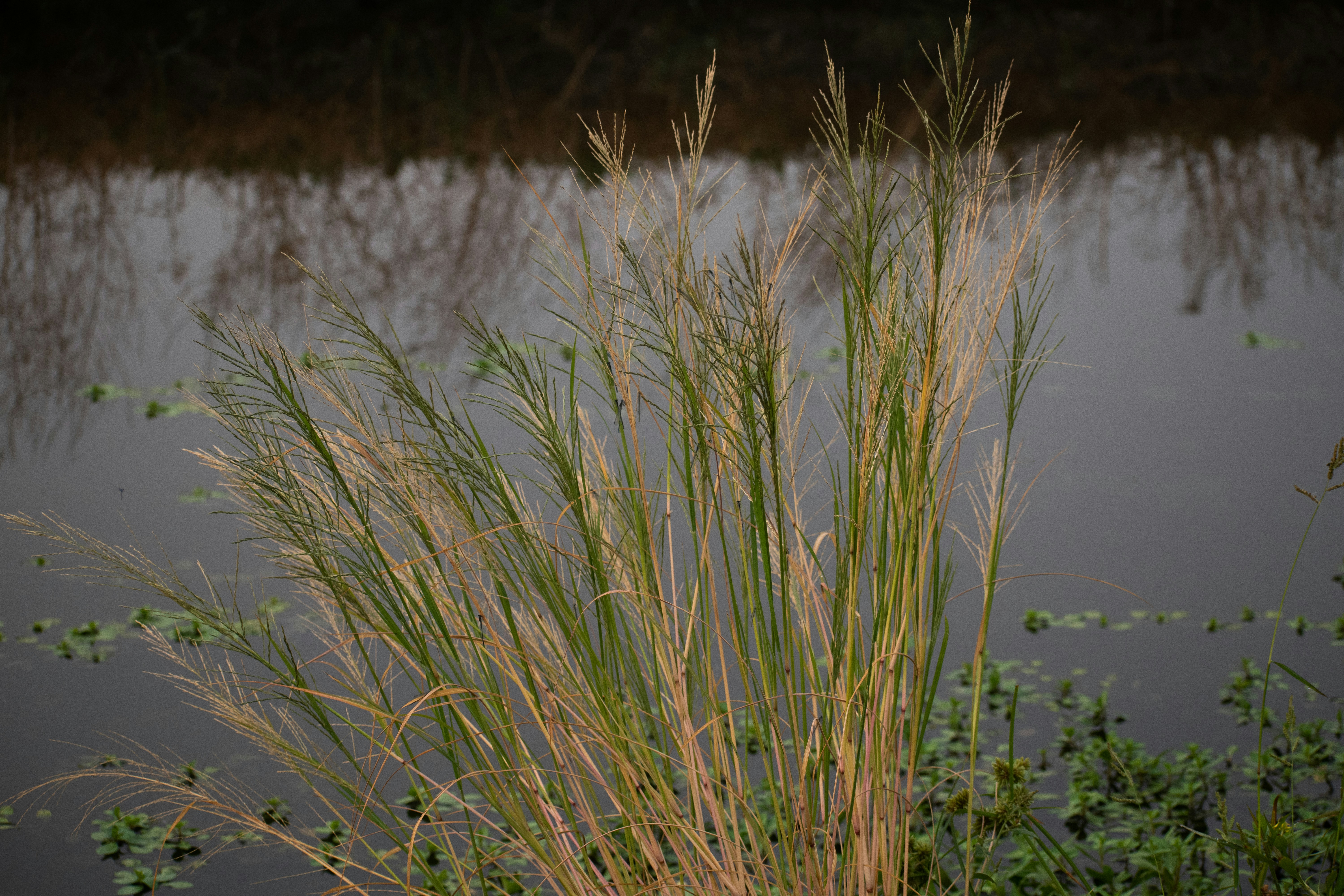 Photo by elisastonephotography