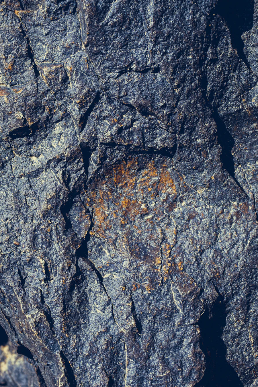Gold-bearing quartz rock
