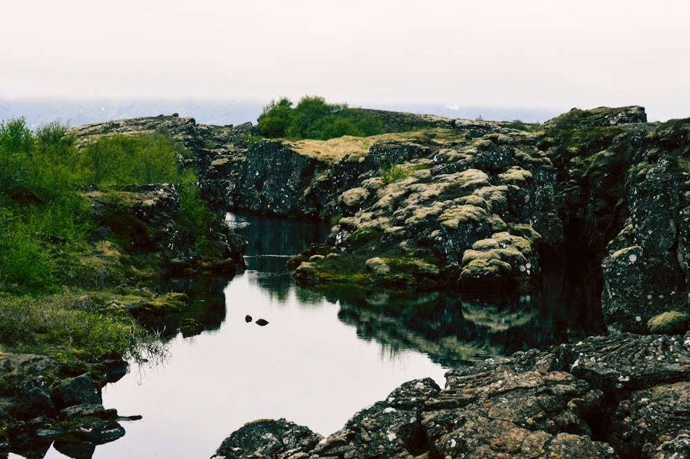 green grass and brown rock formation beside lake during daytime