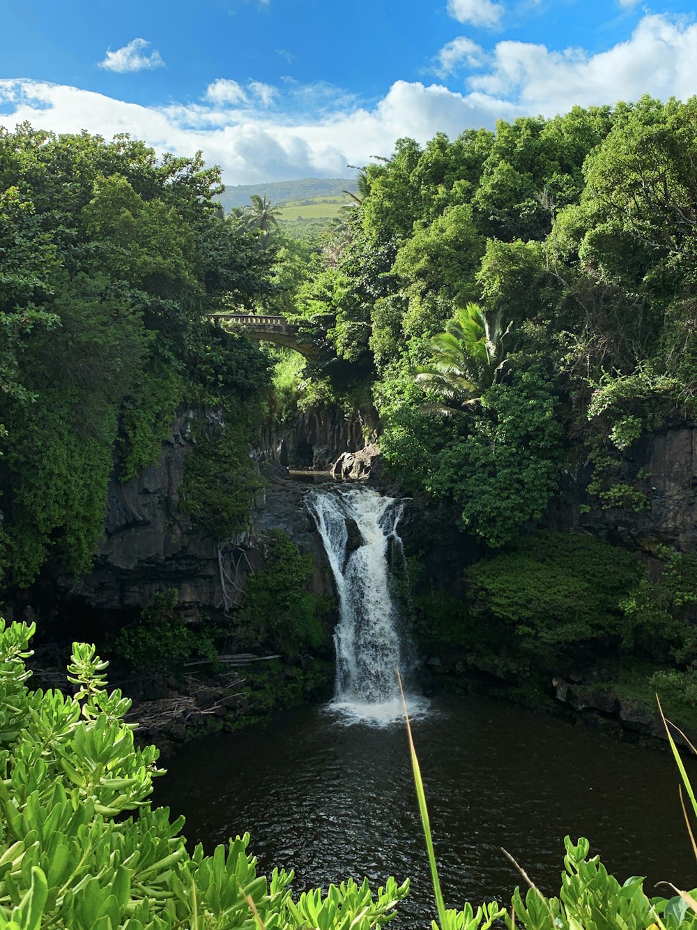 waterfalls in the middle of green trees