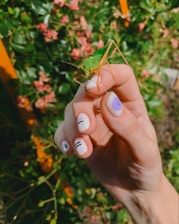 A close-up of a hand with manicured nails featuring minimalist designs, gently holding a green grasshopper. The background contains blurred greenery and pink flowers.