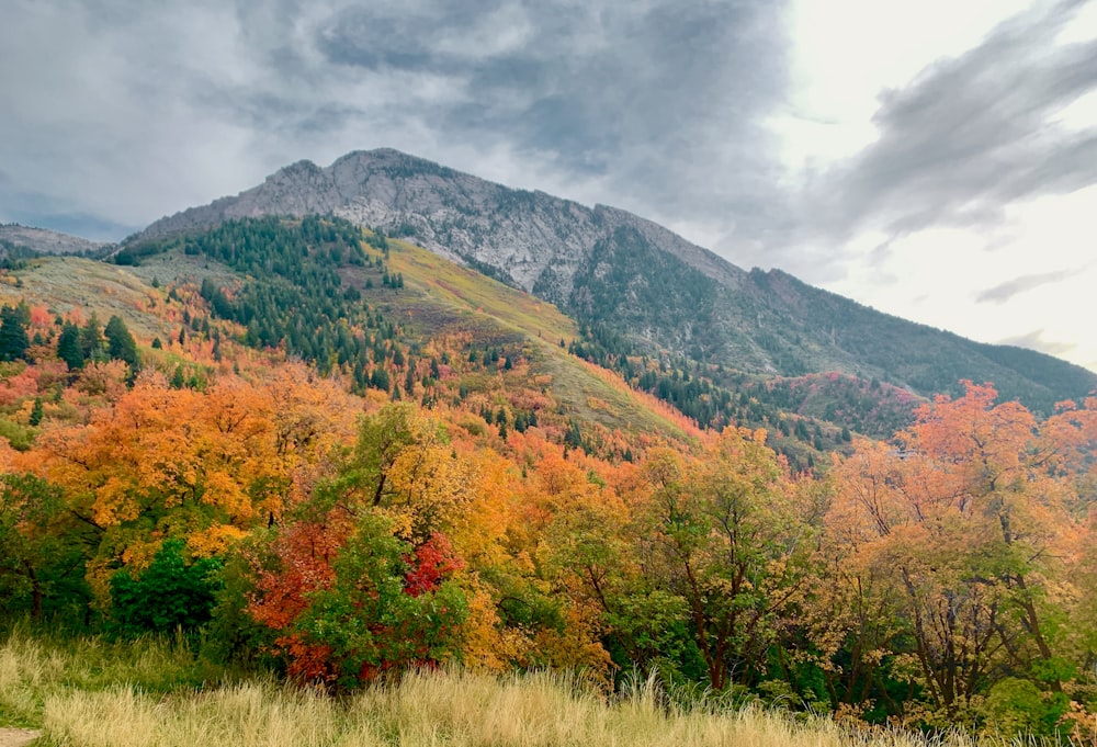 green and brown mountain under white clouds during daytime