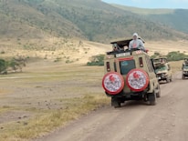 Tourists enjoying a guided safari drive spotting wildlife in Etosha National Park.
