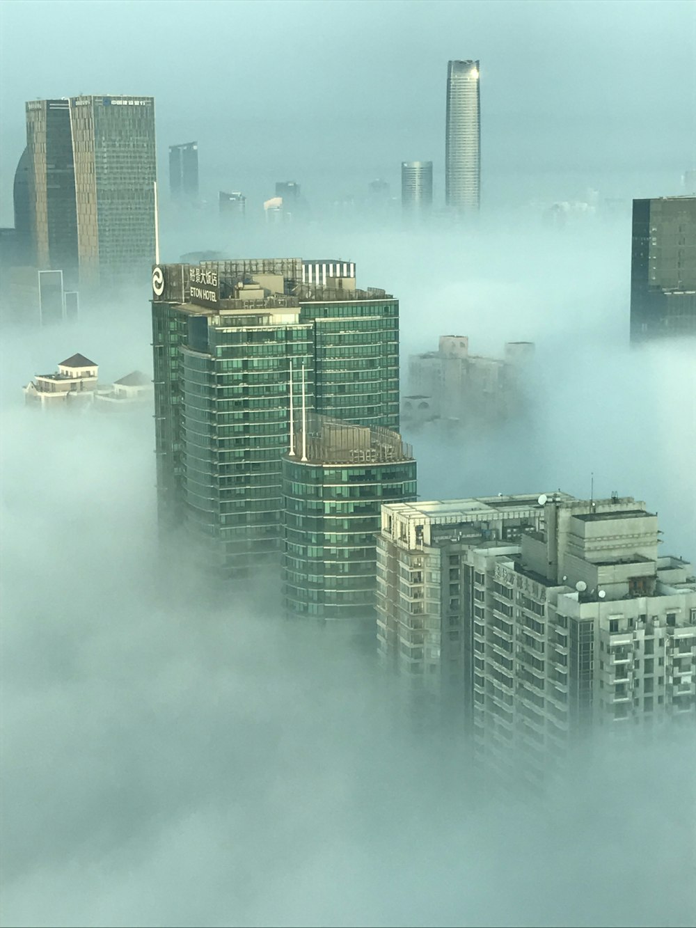 high rise buildings with fog