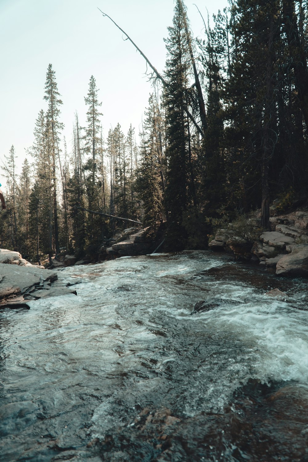 green trees near river under white clouds during daytime