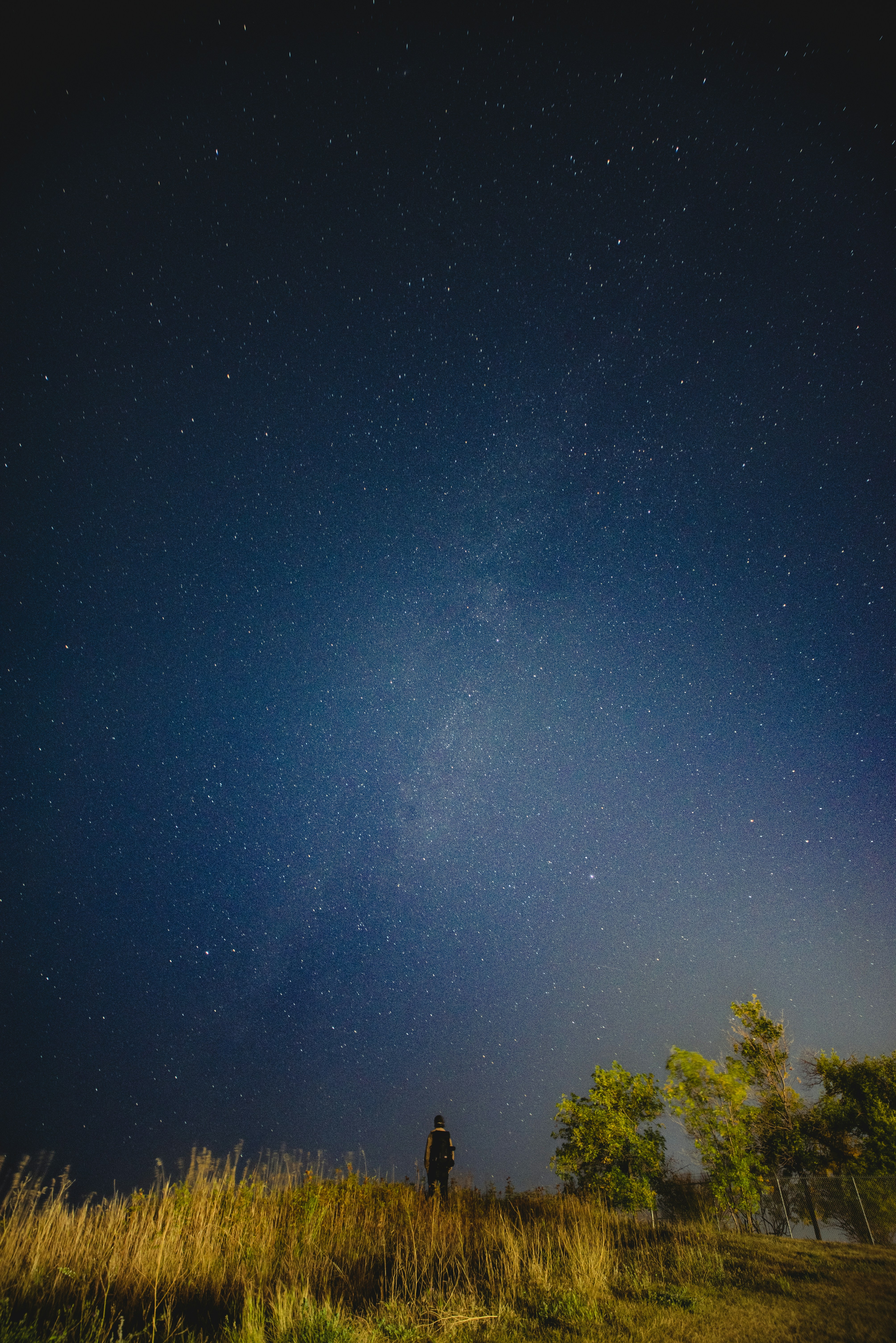 Photo by ryunosuke_kikuno