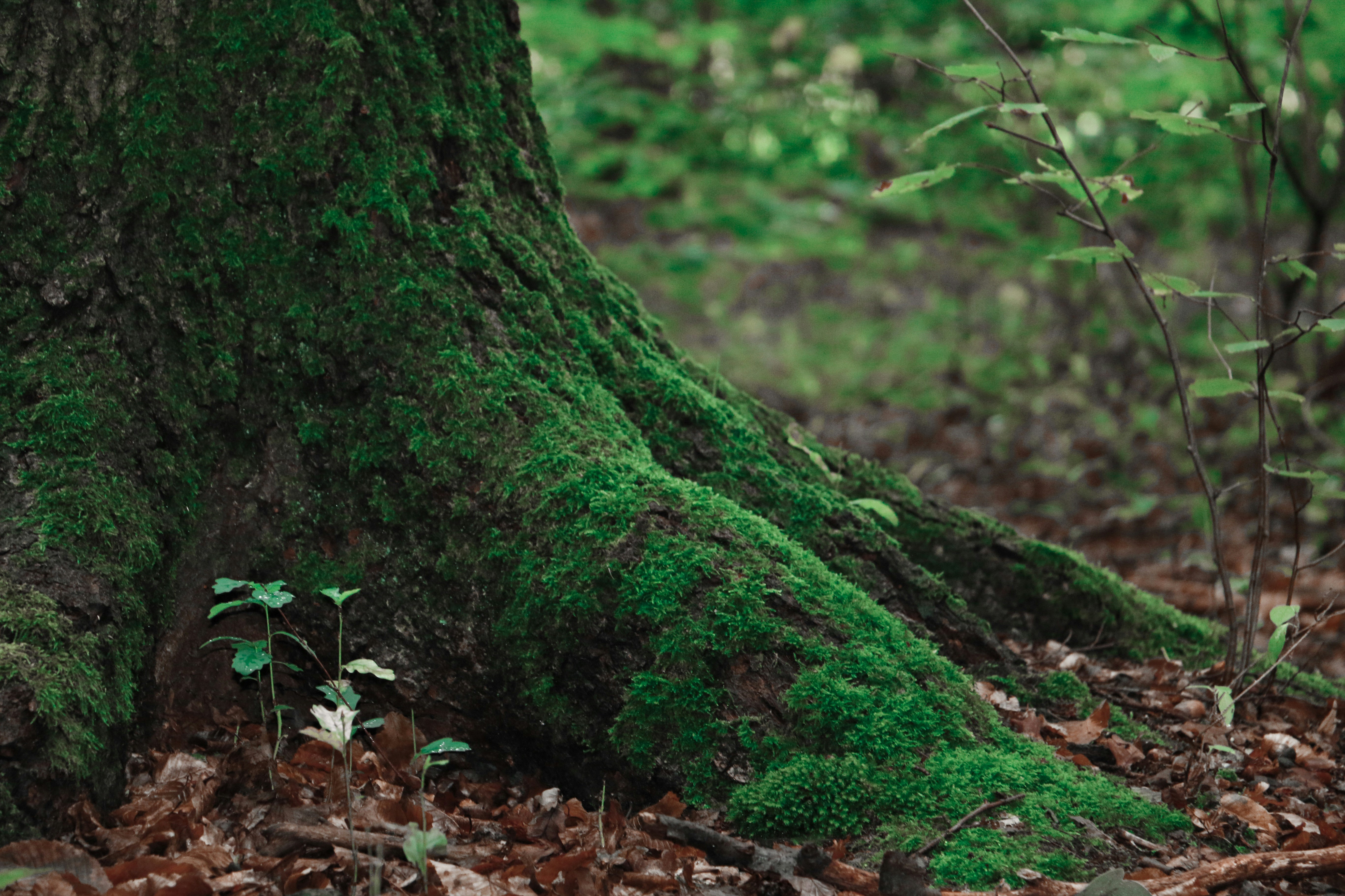 Photo by omarvellous14