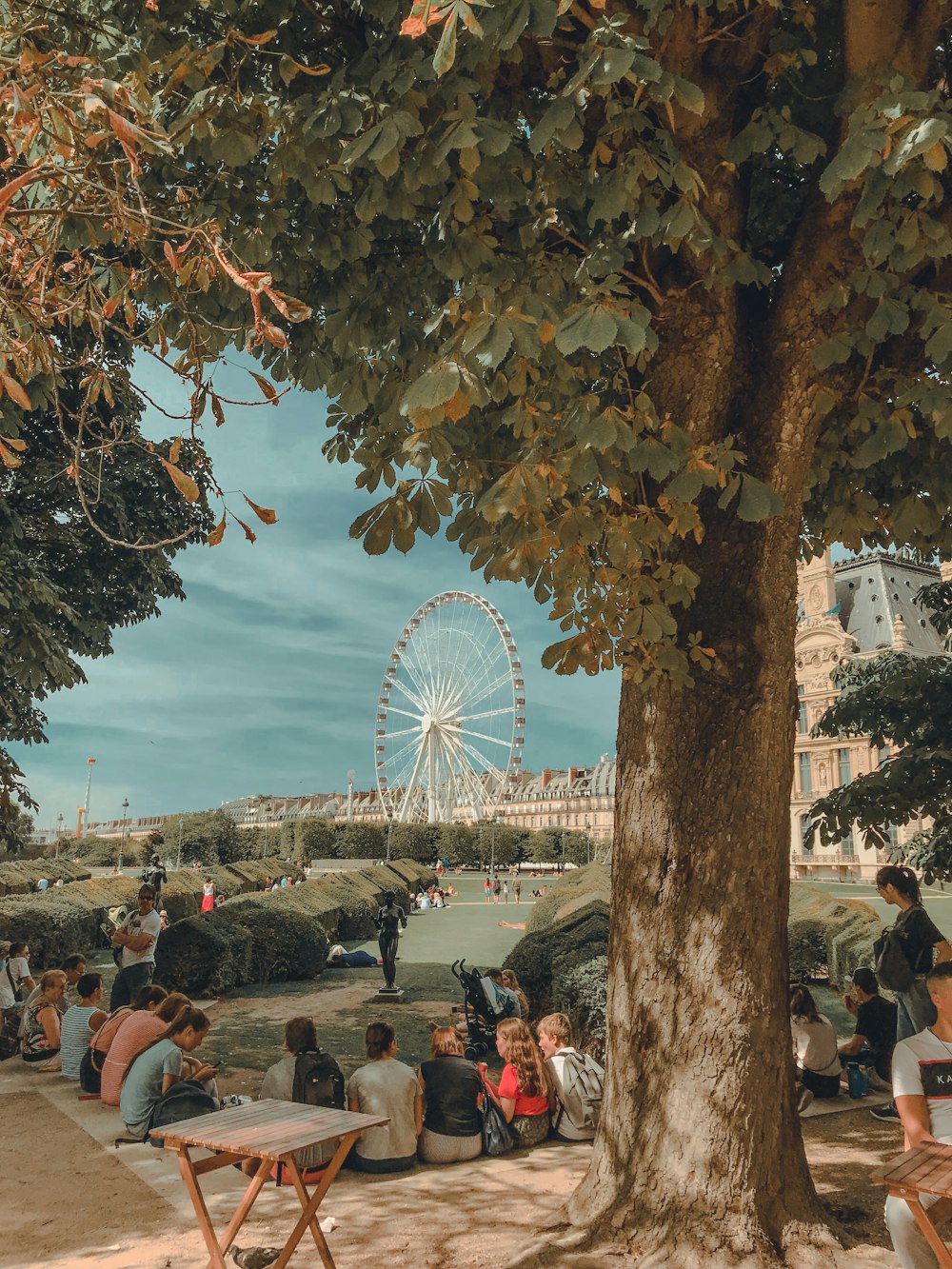 people sitting on bench under tree with ferris wheel in the distance