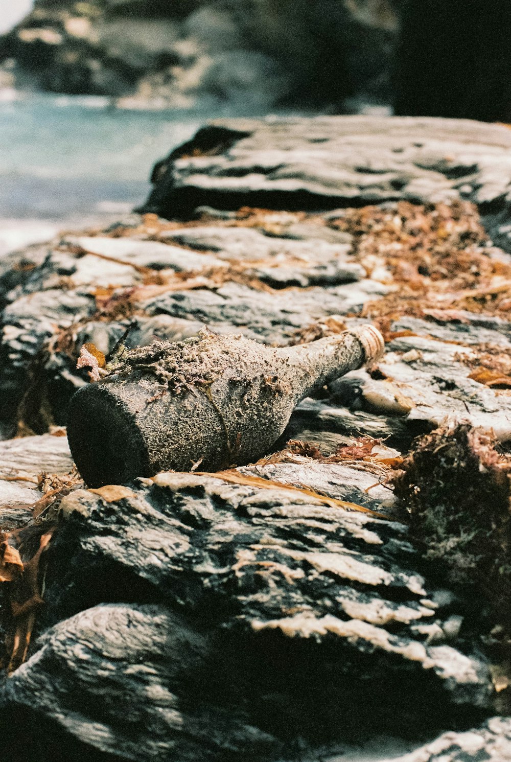 roccia grigia e nera su roccia marrone