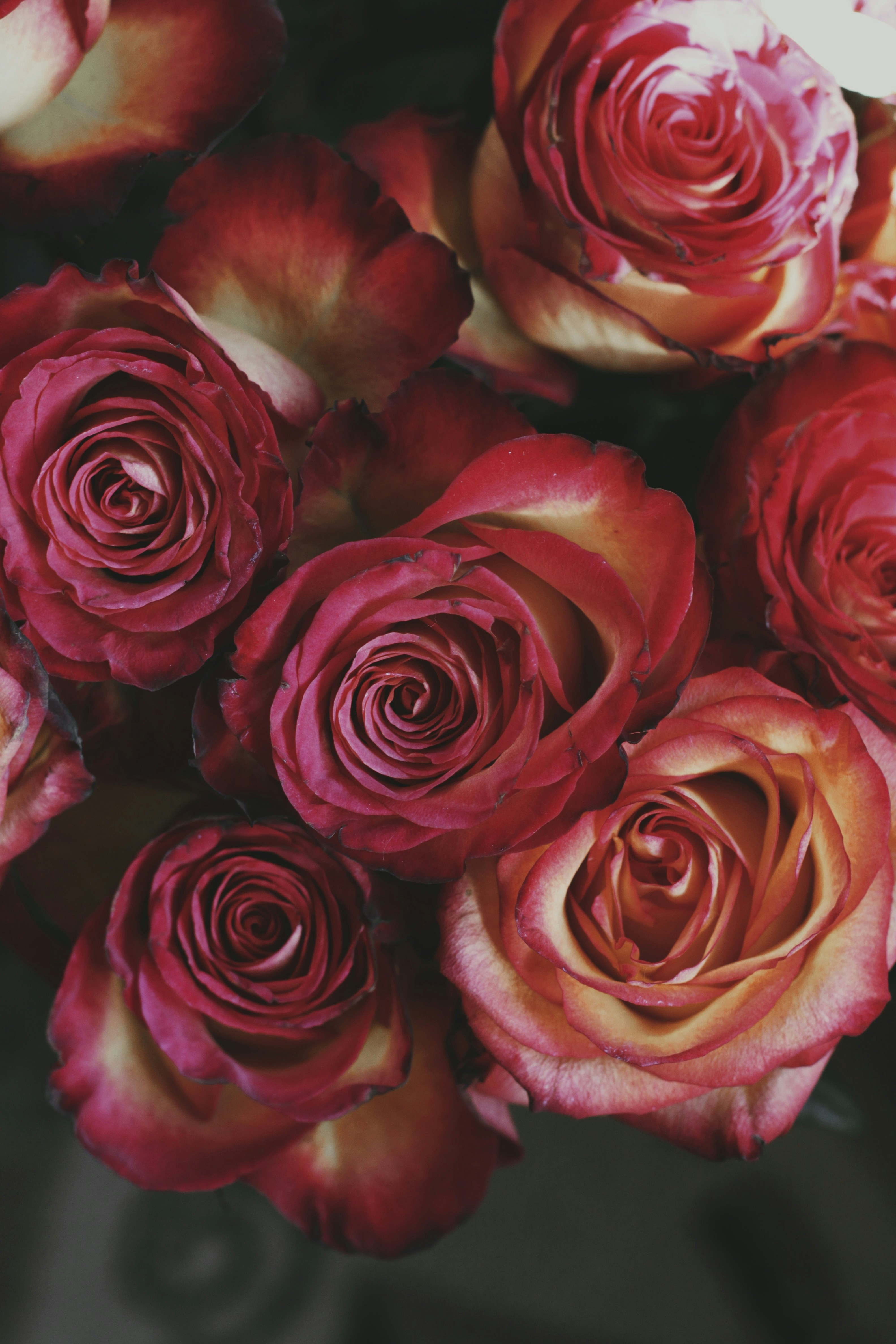 Photo by lilianflower