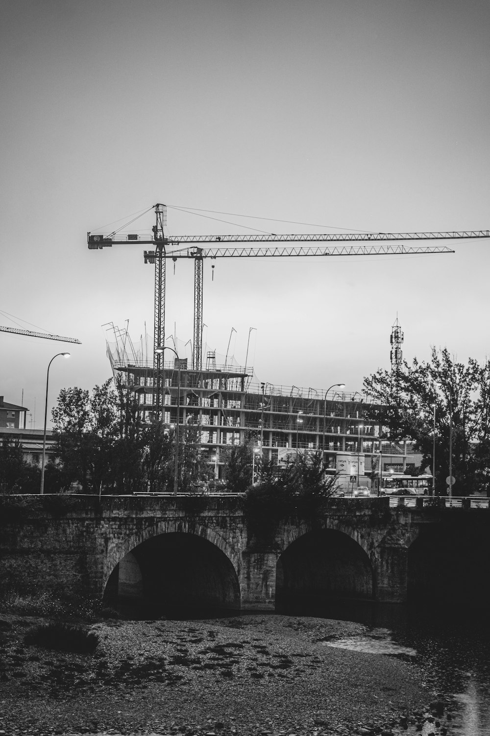 Photo en niveaux de gris d’un pont près d’arbres