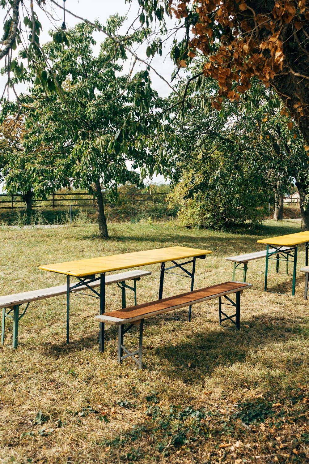 brown wooden picnic table on green grass field during daytime