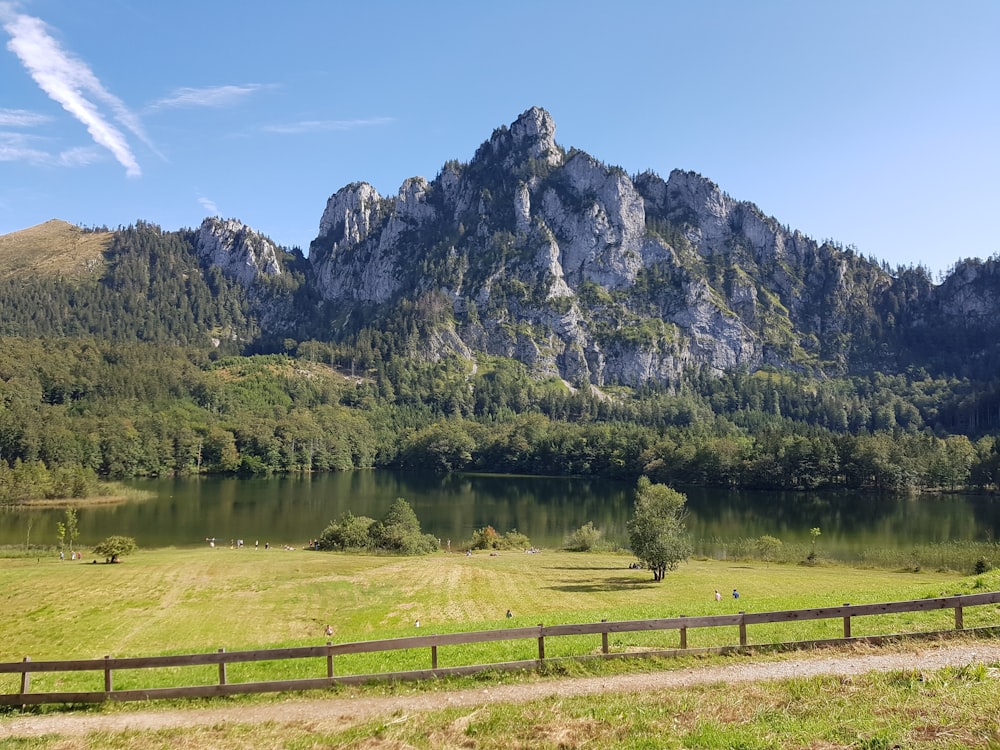 green grass field near lake and mountain under blue sky during daytime