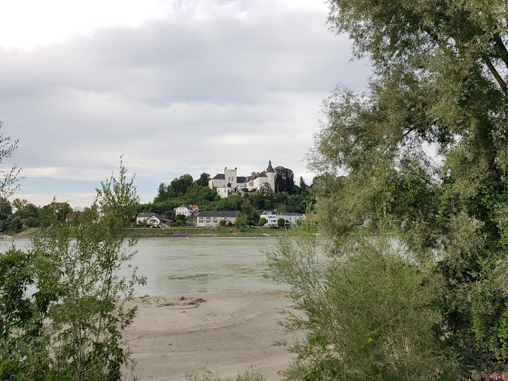 green trees near body of water under white clouds during daytime