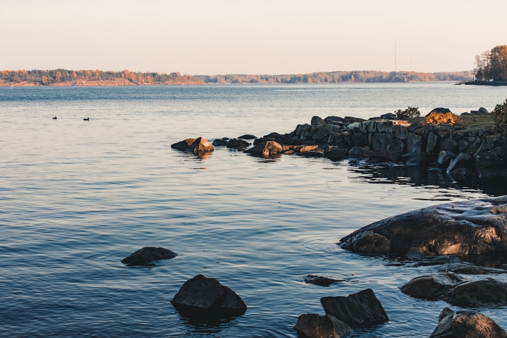 people lying on rocks on water during daytime