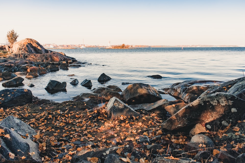 brown rocks on seashore during daytime