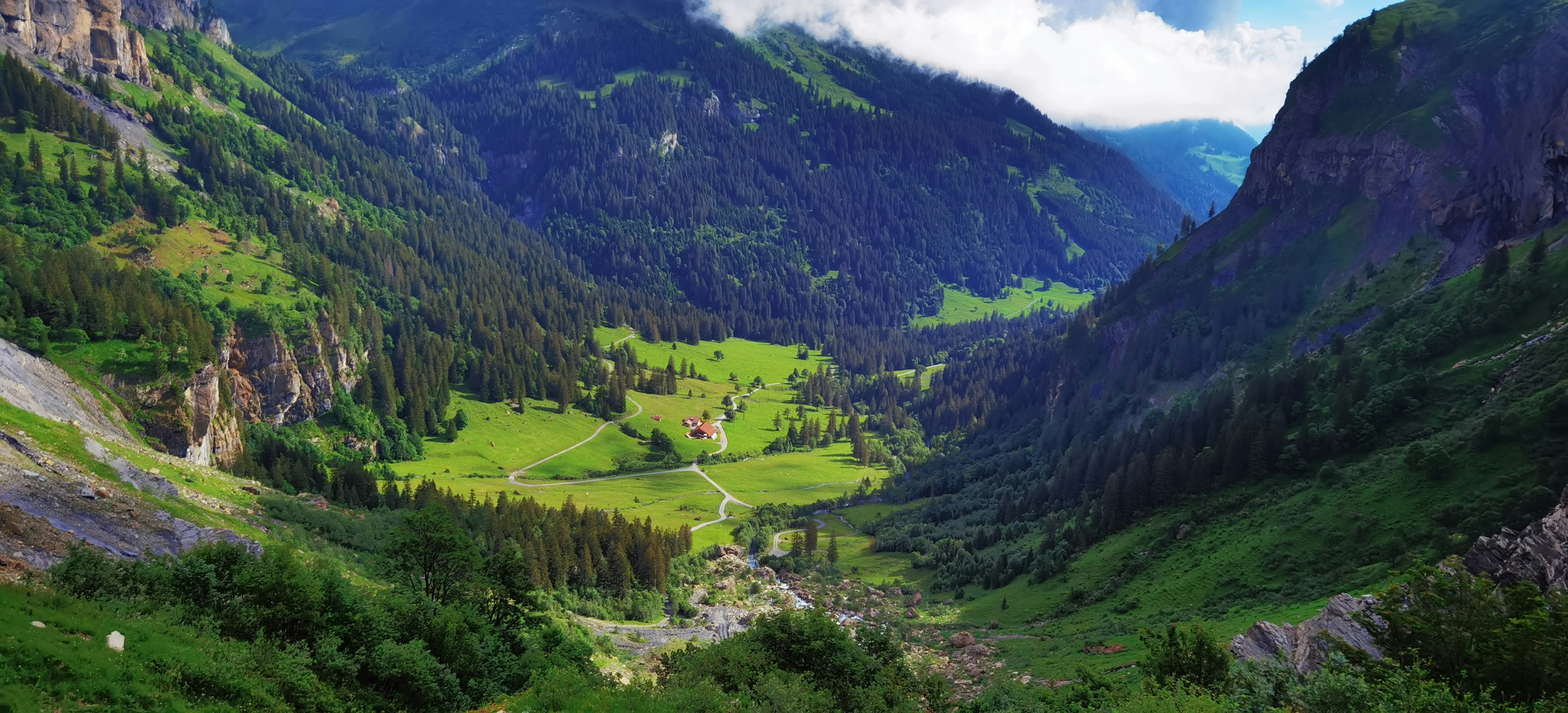 Photo by naturalmystic