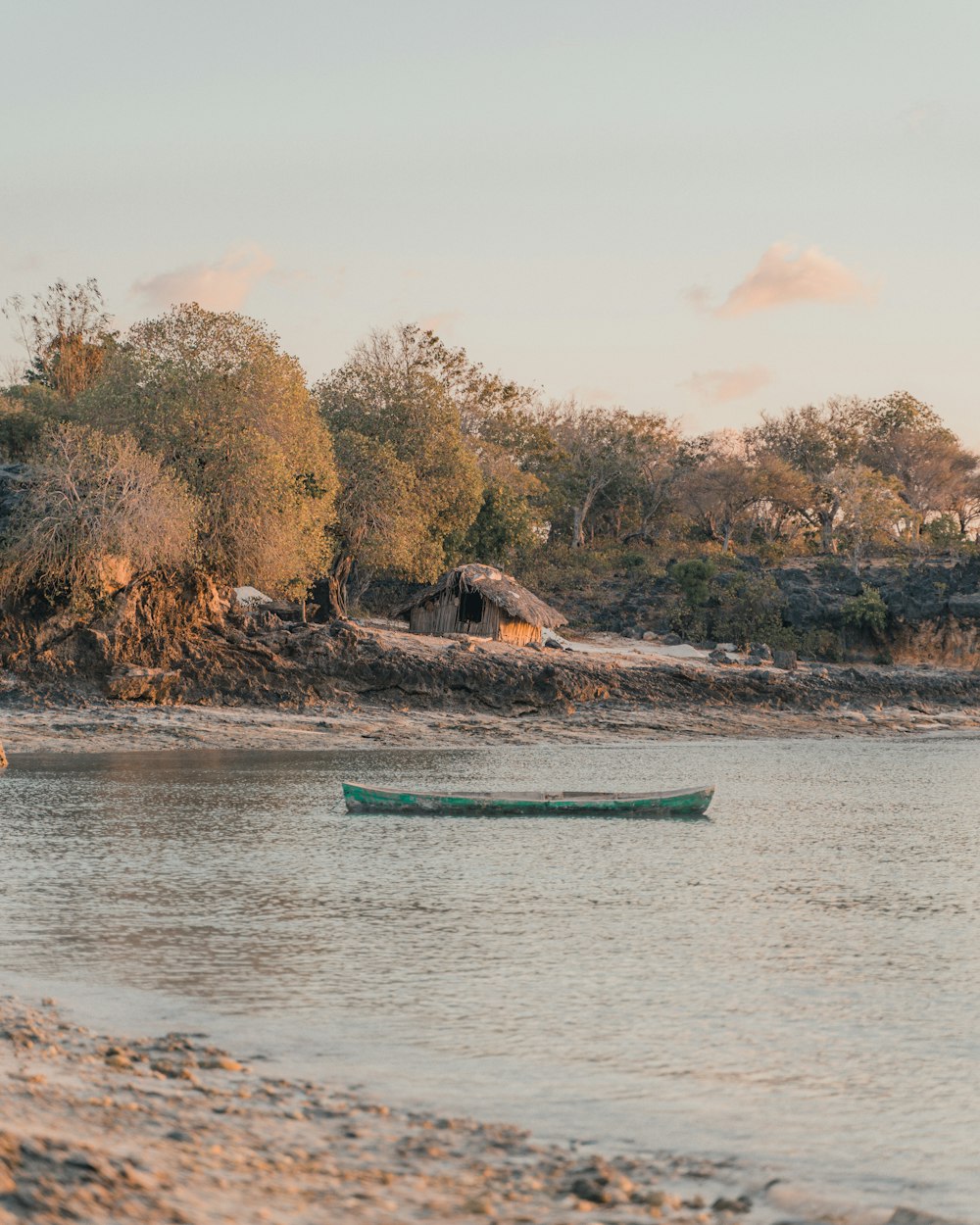 green canoe on body of water near trees during daytime