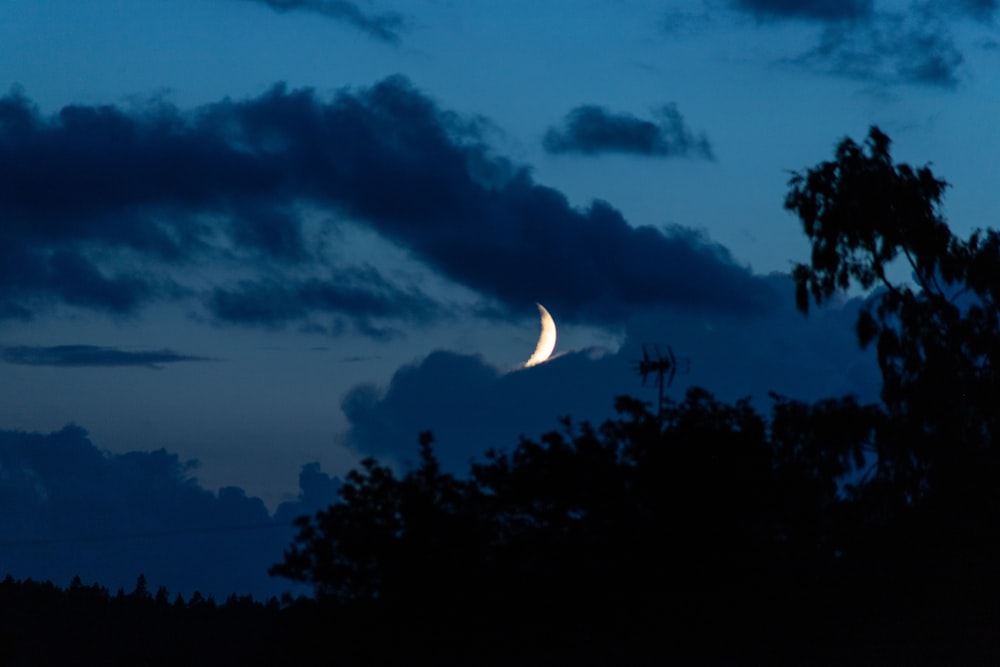 green trees under blue sky and white clouds during night time